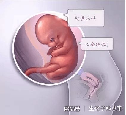 主案例